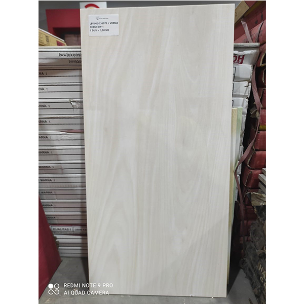 Levine G36079 L Verna 30x60